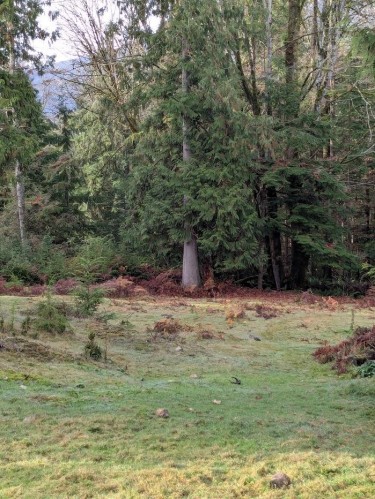 Lot 9 Mountain Road, Gambier Island, BC 
