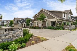 157-1894 Osprey Drive  Tsawwassen, BC V4M 0C3