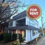 2428 Fraser Street  Vancouver, BC V5T 3V2