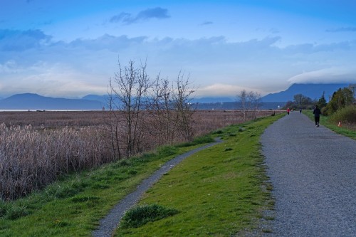 3560 Francis Road, Richmond, BC 