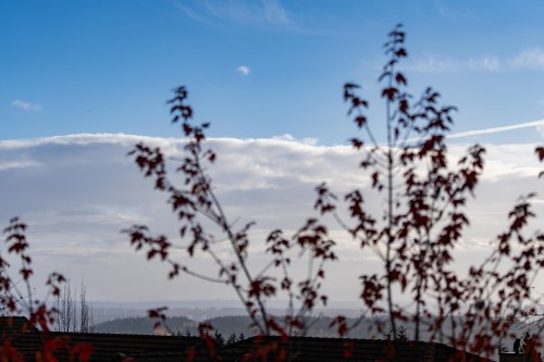 2517 Platinum Lane, Coquitlam, BC 