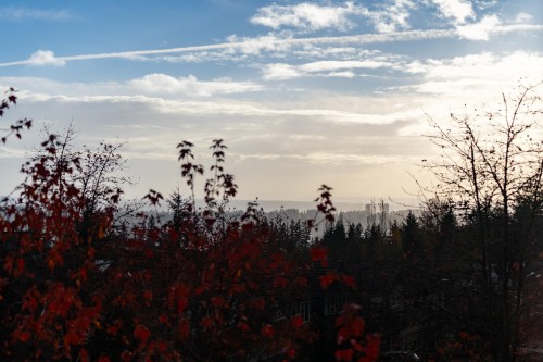 2517 Platinum Lane, Coquitlam, BC 