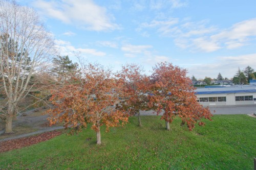 303-7240 Lindsay Road, Richmond, BC 