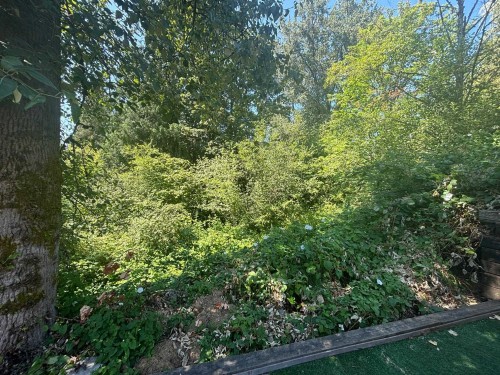 11279 Harrison Street, Maple Ridge, BC 