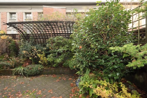 2305 3Rd Avenue W, Vancouver, BC 