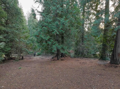 14042 232 Street, Maple Ridge, BC 