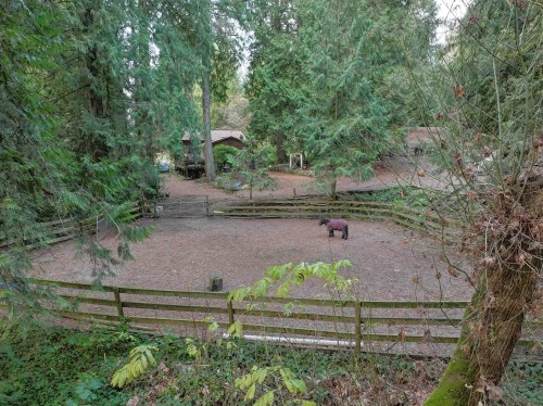 14042 232 Street, Maple Ridge, BC 