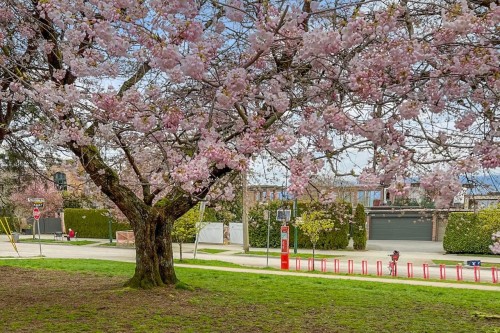 3274 1St Avenue W, Vancouver, BC 