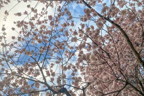 3274 1St Avenue W, Vancouver, BC 