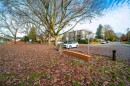 201-2345 Central Avenue, Port Coquitlam, BC 