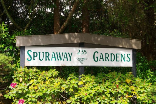 704-235 Keith Road  West Vancouver, BC V7T 1L5