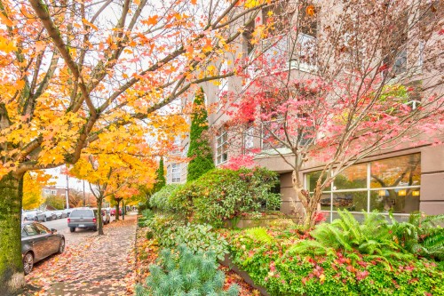 204-1082 8Th Avenue W, Vancouver, BC 