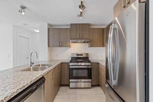 305-3156 Dayanee Springs Blvd, Coquitlam, BC 