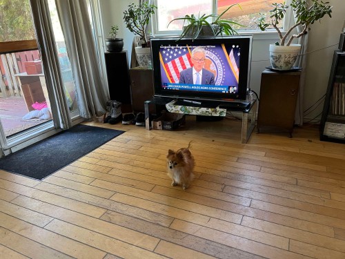 6 Bracken Parkway, Squamish, BC 