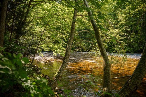 105-5160 Davis Bay Road, Sechelt, BC 