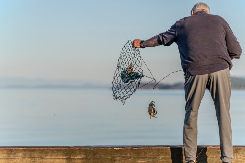 105-5160 Davis Bay Road, Sechelt, BC 