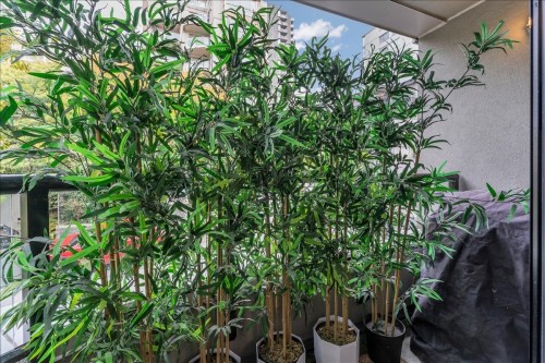 401-1330 Jervis Street, Vancouver, BC 