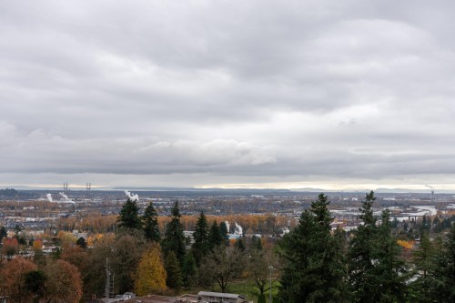 1701-720 Hamilton Street, New Westminster, BC 