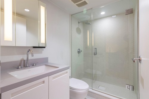 1810-188 Keefer Street, Vancouver, BC 