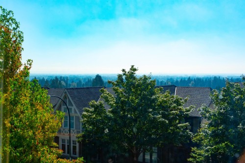 3443 Gislason Avenue, Coquitlam, BC 