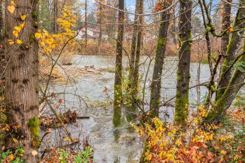 307-2335 Whyte Avenue, Port Coquitlam, BC 