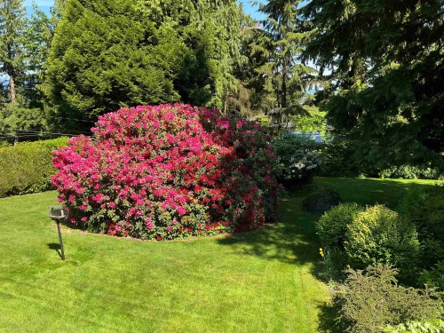 3005 Fleet Street, Coquitlam, BC 