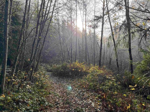 1594 Cemetery Road, Gibsons, BC 