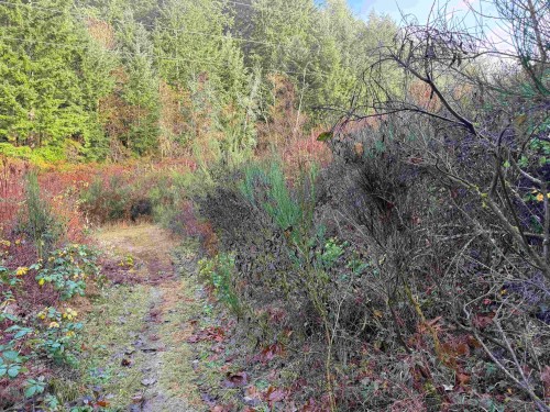 1594 Cemetery Road, Gibsons, BC 