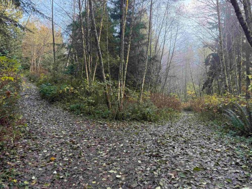 1594 Cemetery Road, Gibsons, BC 
