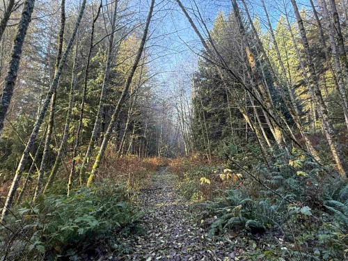 1594 Cemetery Road, Gibsons, BC 