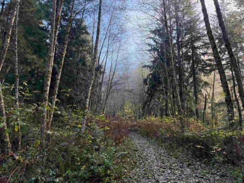 1594 Cemetery Road, Gibsons, BC 