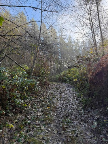 1594 Cemetery Road, Gibsons, BC 