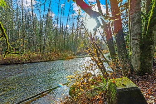 27-23697 Fern Crescent, Maple Ridge, BC 