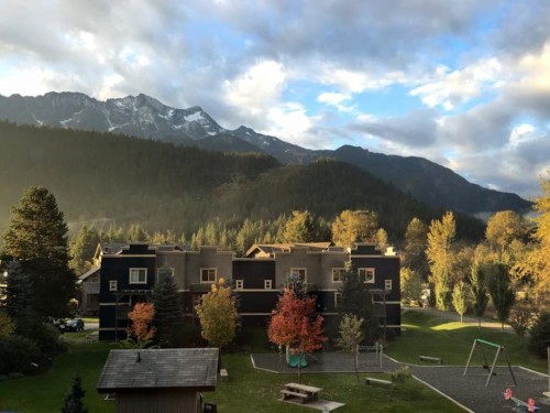 12-1442 Vine Road, Pemberton, BC 