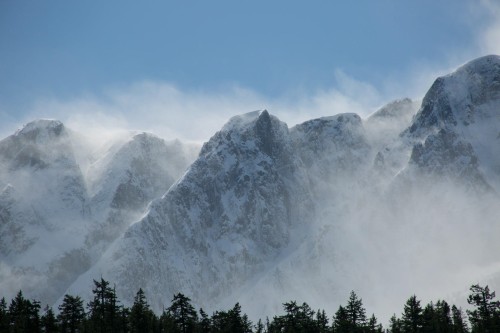 12-1442 Vine Road, Pemberton, BC 