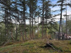 LOT B Francis Peninsula Road  Madeira Park, BC V0N 2H1