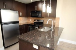 1103-888 Carnarvon Street  New Westminster, BC V3M 0C6