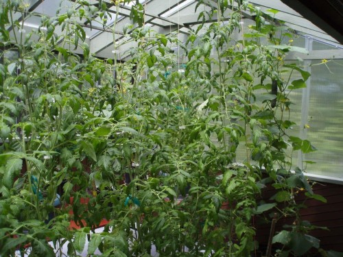 1498 Chamberlain Drive, North Vancouver, BC 