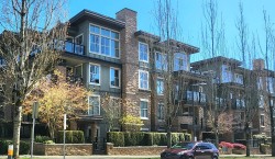 PH-11-3478 Wesbrook Mall  Vancouver, BC V6S 0A9