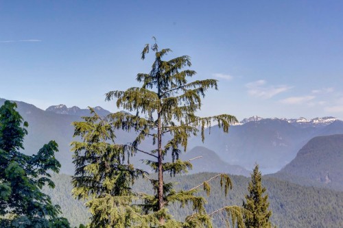 9Xx-9060 University Crescent, Burnaby, BC 