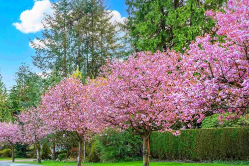 5078 Main Street, Vancouver, BC 