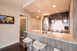 1807-1088 Richards Street  Vancouver, BC V6B 0J8