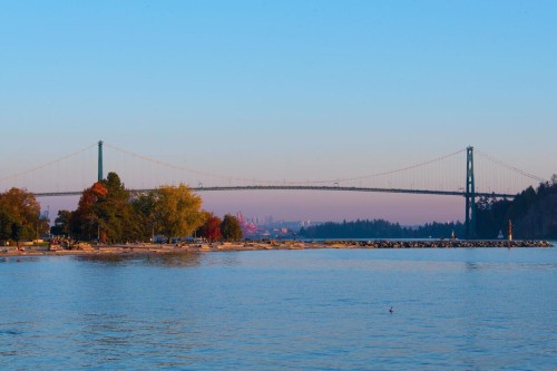 301-1455 Duchess Avenue, West Vancouver, BC 