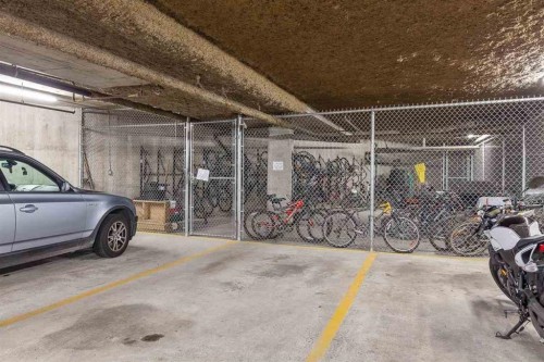 210-2439 Wilson Avenue, Port Coquitlam, BC 