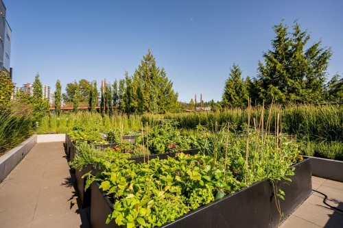 435-55 Klahanie Drive, Port Moody, BC 