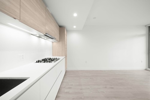 301-523 King Edward Avenue W, Vancouver, BC 