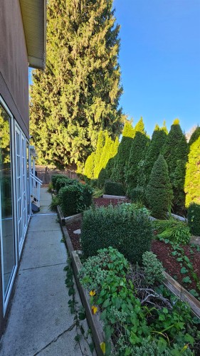 10251 Caithcart Road, Richmond, BC 