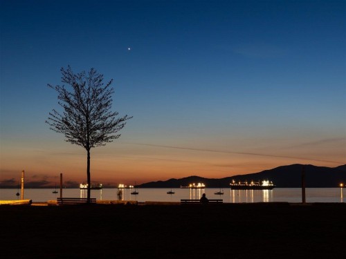 1338 Arbutus St, Vancouver, BC 