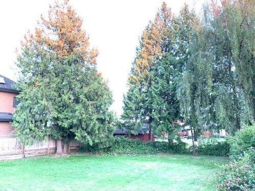 A-11420 Thorpe Road, Richmond, BC 