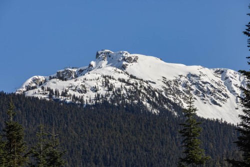 2924 Big Timber Court, Whistler, BC 